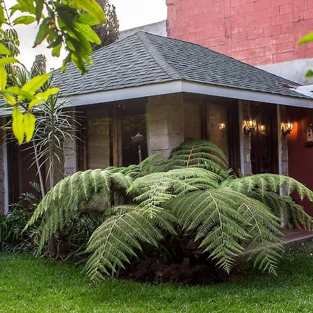 Apartmán Mi Casa, Tu Casa Ciudad de Guatemala Exteriér fotografie